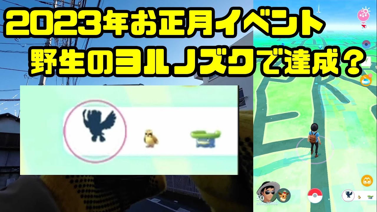 野生のヨルノズクで達成できるのか？2023年お正月イベント