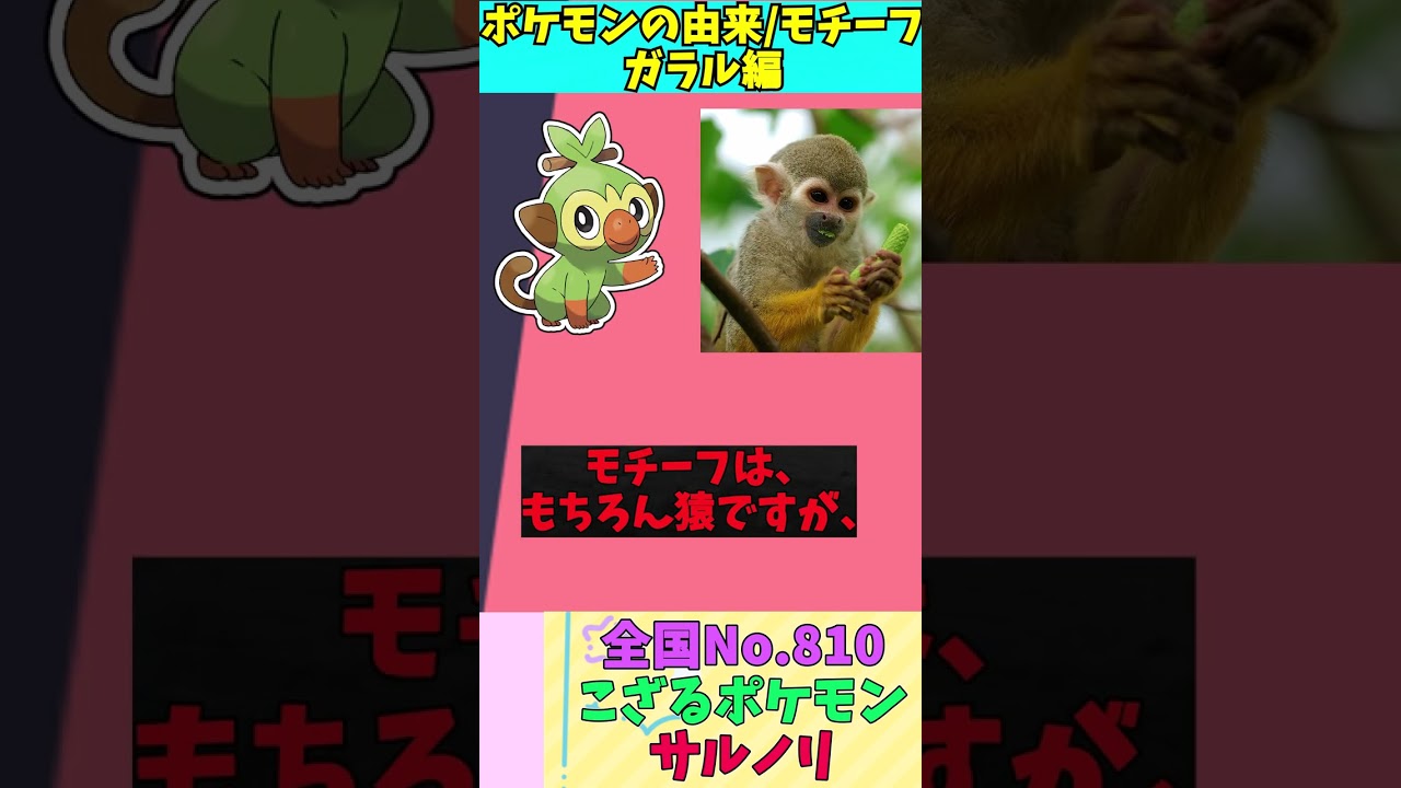 【図鑑No.810 サルノリ】ポケモン名前の由来&モチーフをゆっくり解説 【ガラル地方】【第8世代】【剣盾】 #shorts