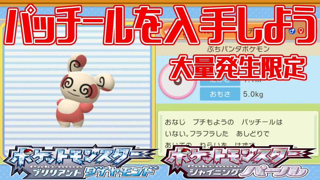【ポケモンダイパリメイク】パッチールを入手しよう 大量発生限定 227番道路【ポケットモンスター ブリリアントダイヤモンド・シャイニングパール】Pocket Monsters