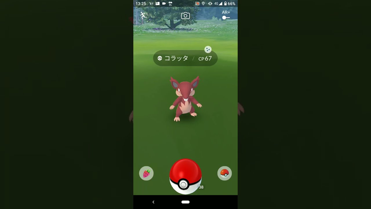 色違いコラッタ 　ポケモンGO