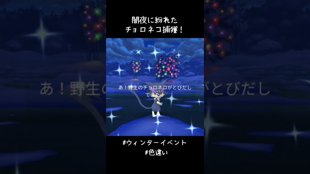 闇夜に紛れたチョロネコ捕獲✨✨✨たぶん今年最後の色違いになりそう。コスチュームとは縁がなかったな😭けど、今年も楽しかった！来年も楽しむぞ！#ポケモンGO #ウィンターイベント #色違い