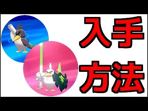 【ポケモン ソード】 カモネギ、ネギガナイト 出現場所 進化方法 『ポケットモンスター ソード・シールド』