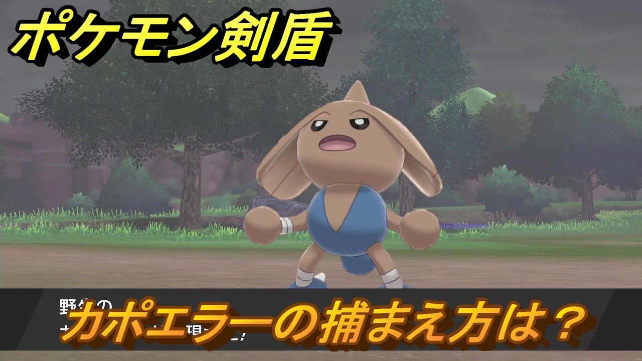 ポケモン剣盾　カポエラーを捕まえる方法！オススメの場所は？天気は？ポケモン図鑑コンプへの道！　最新版【ポケモンソード・シールド】