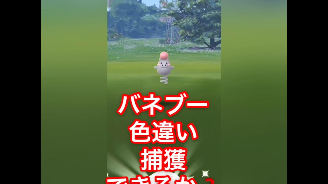 #ポケモンGO #バネブー色違い  《ポケモンGO》バネブー色違いの旅