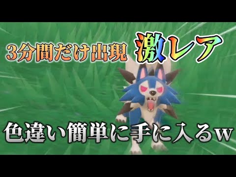 たそがれルガルガンの色違いが手に入る裏技！？w 【ポケモンSV】