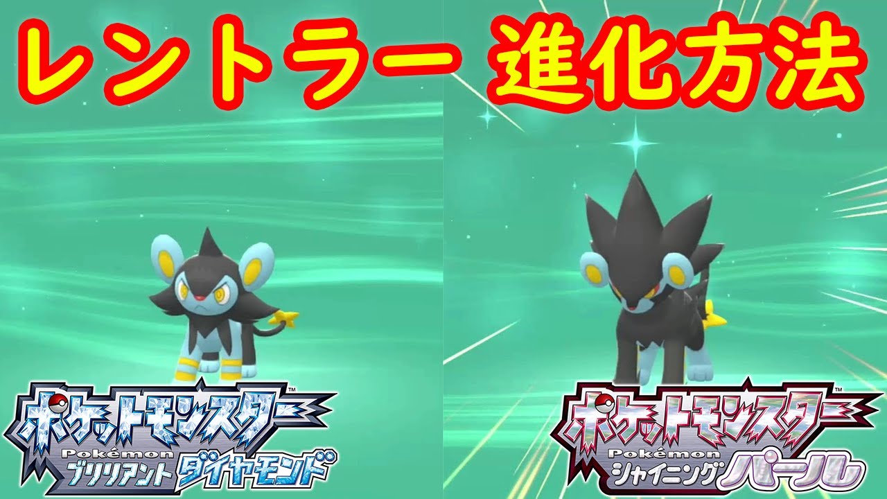【コリンク → ルクシオ → レントラー】進化方法（レベル） 攻略  【ポケモン ダイパリメイク ポケモン ブリリアントダイヤモンド・シャイニングパール】