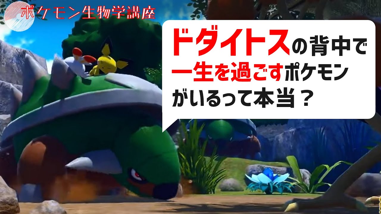 ドダイトスの背中で一生を過ごすポケモンがいるって本当？｜ダイパリメイク、ナエトル #Shorts