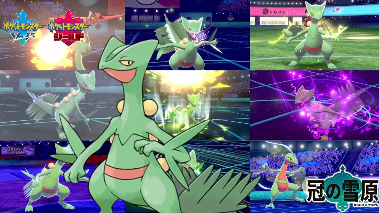 7種類のジュカインの型＆調整を超解説！(おまけあり)　～ジュカイン最強への道～【ポケモン剣盾】