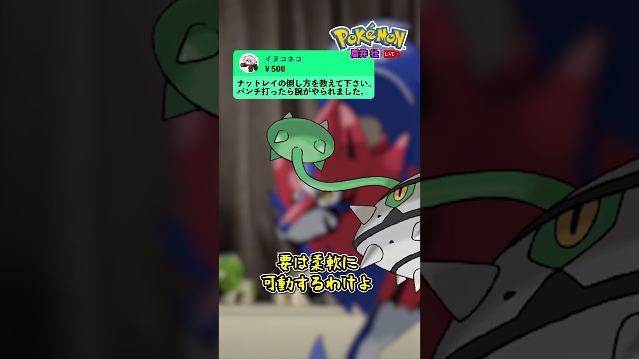 【盾井壮】ナットレイの倒し方を語るザマゼンタ【ポケモン剣盾】【コント】 #shorts