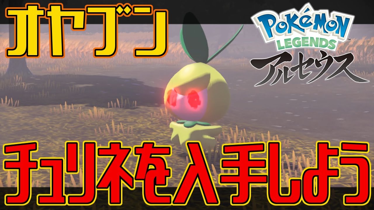 【ポケモンアルセウス】オヤブンのチュリネを入手しよう【Pokémon LEGENDS アルセウス】