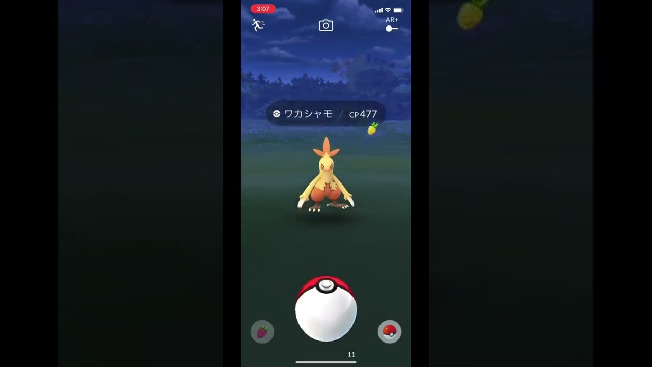 ポケモンGOでワカシャモをゲット！