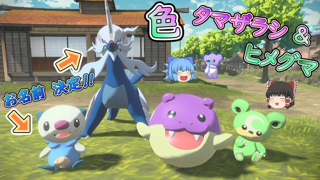 【レジェンズアルセウス】「『熊』と『紫色』・・・クマシュンの色違いか??」【ゆっくり実況】