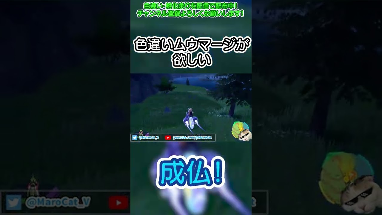 【ポケモンSV】色違いムウマージを捕まえて配布したい！#shorts