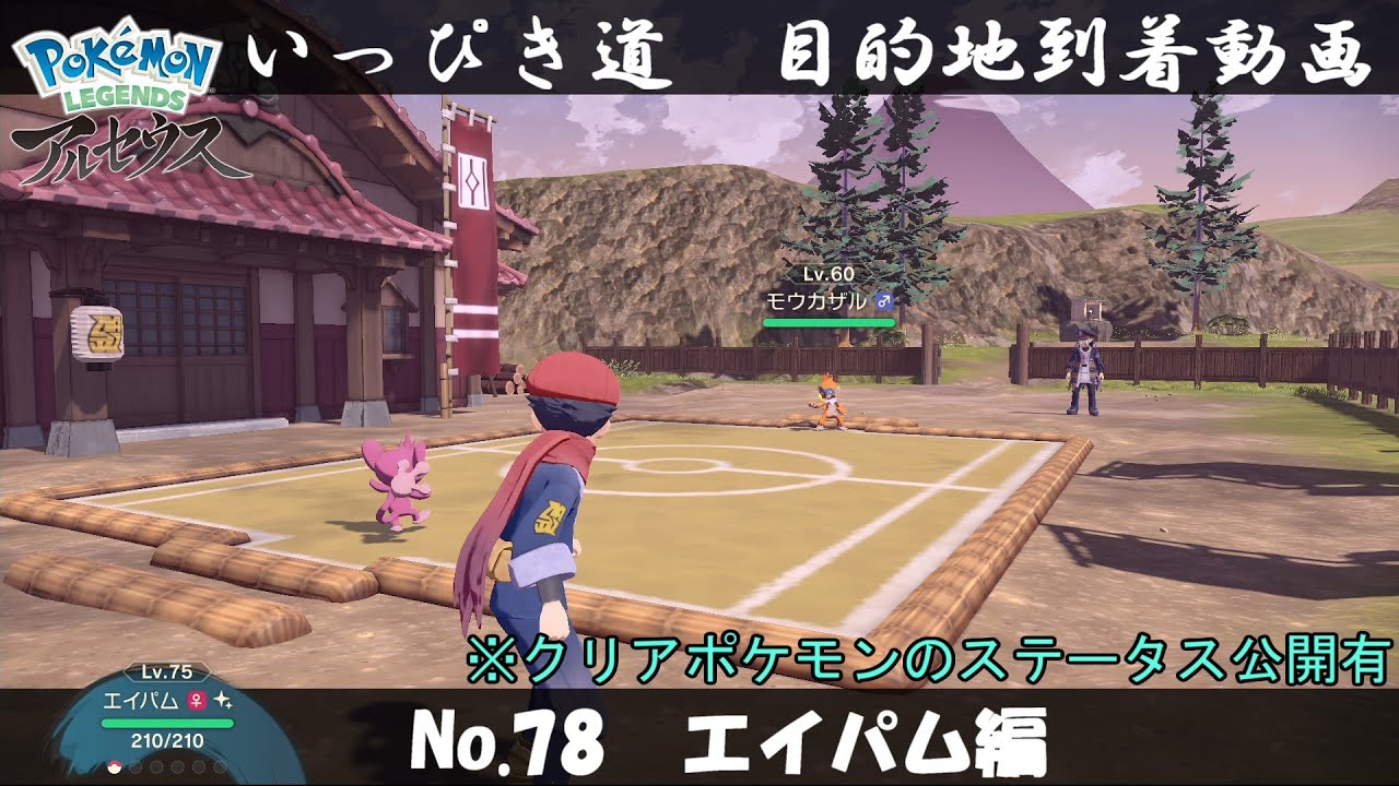 【いっぴき道攻略】No.78 エイパム編【Pokémon LEGENDS アルセウス】