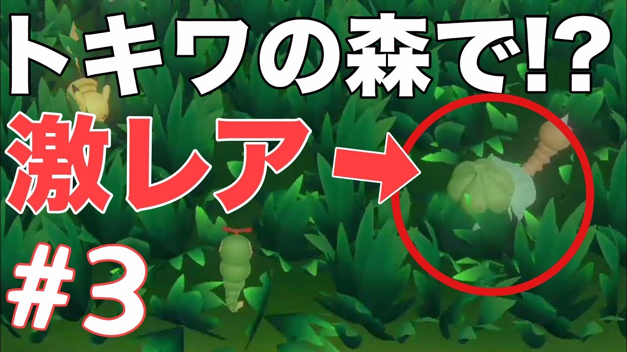 トキワの森にでる超激レアなフシギダネが欲しい!!!!【レッツゴーイーブイ】