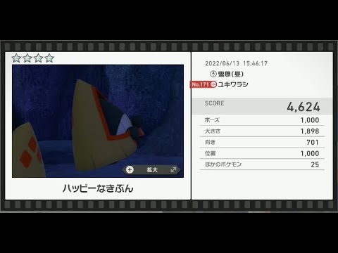 Newポケモンスナップ　★4ユキワラシ【4624】