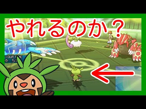 ダブルバトルでハリマロンが強いと話題に。