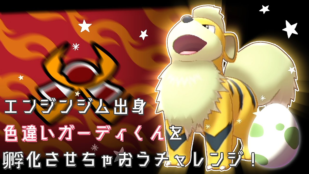 【ポケモン剣盾】エンジンジム出身の色違いガーディ孵化作戦！【ゆっくり実況】
