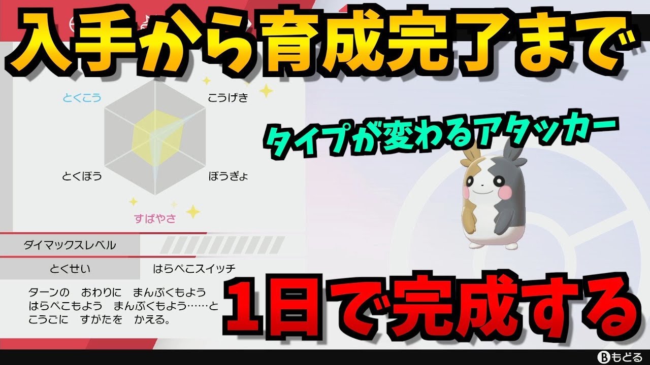 【入手から】ぶっ壊れ専用技！この動画を見ればランク戦で使える育成済みモルペコができます！【ポケモン剣盾/ポケモンソードシールド】