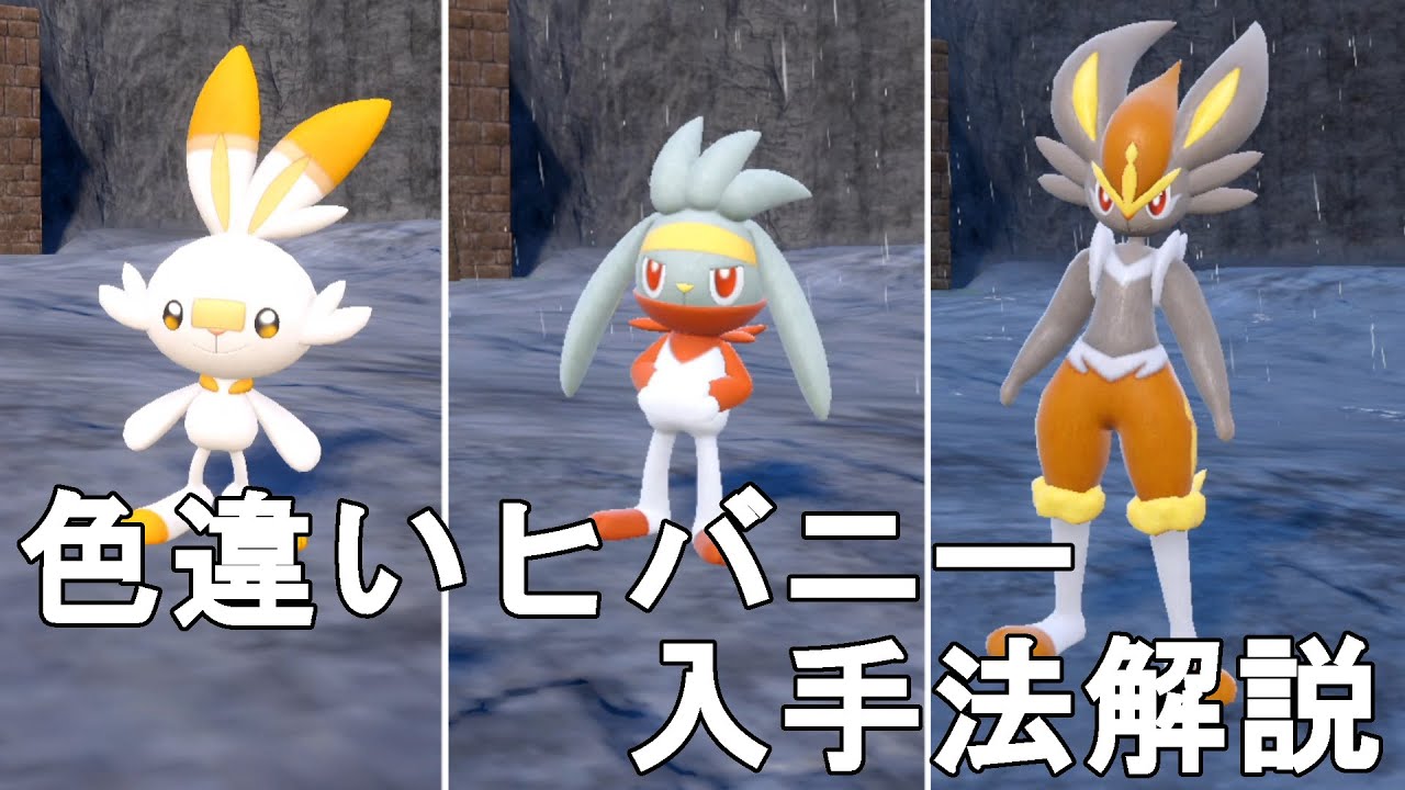 【ポケモンSV】色違いヒバニー（エースバーン）入手法解説！Pocket Monster Skarlet Violet Shiny Scorbunny【スカーレットバイオレット】