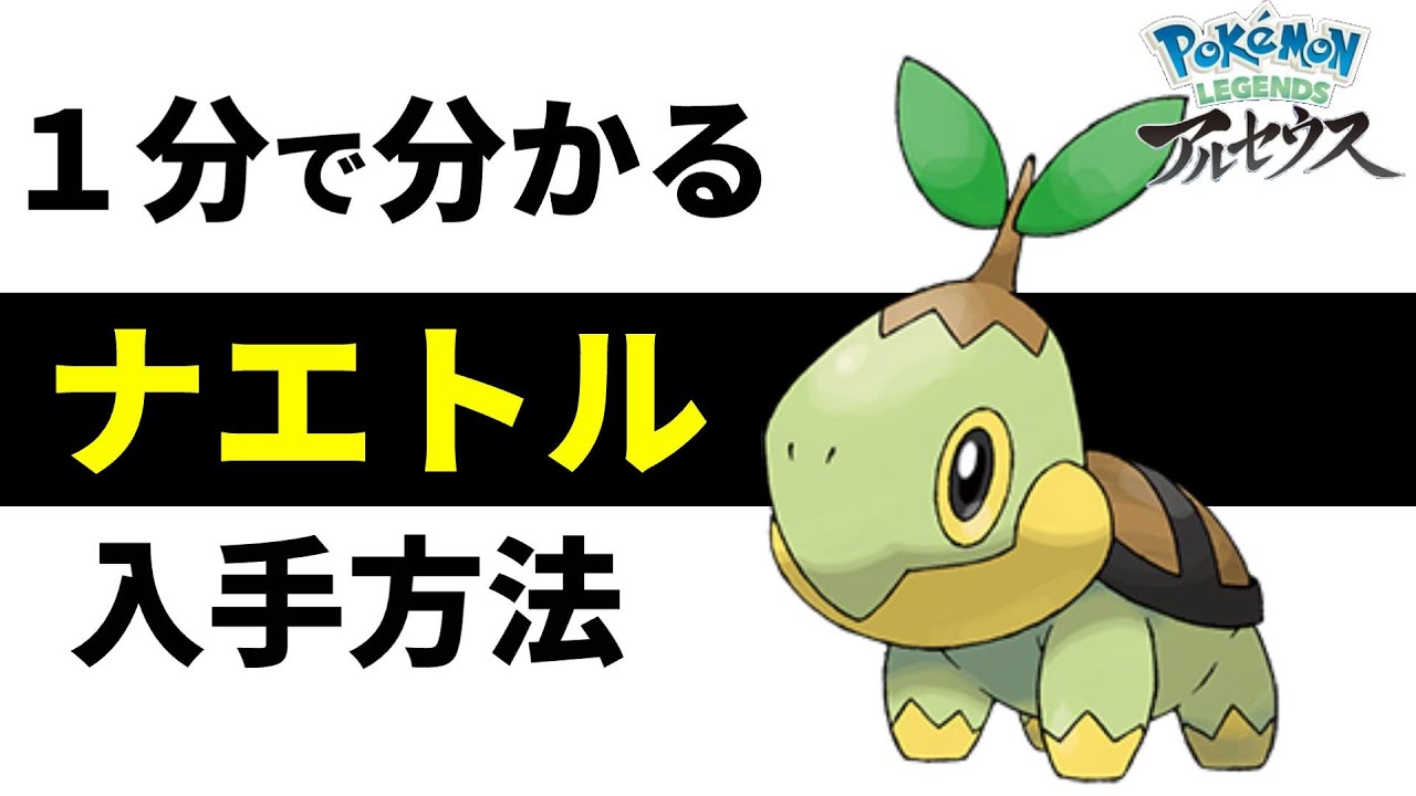 1分で分かるナエトル入手方法【ポケモンレジェンズアルセウス,Pokémon LEGENDS】