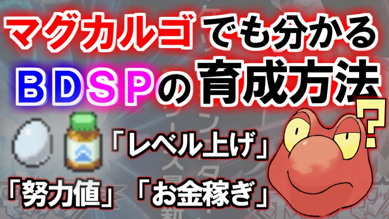 【徹底解説】マグカルゴでも分かるBDSP育成方法！！【ダイパリメイク】