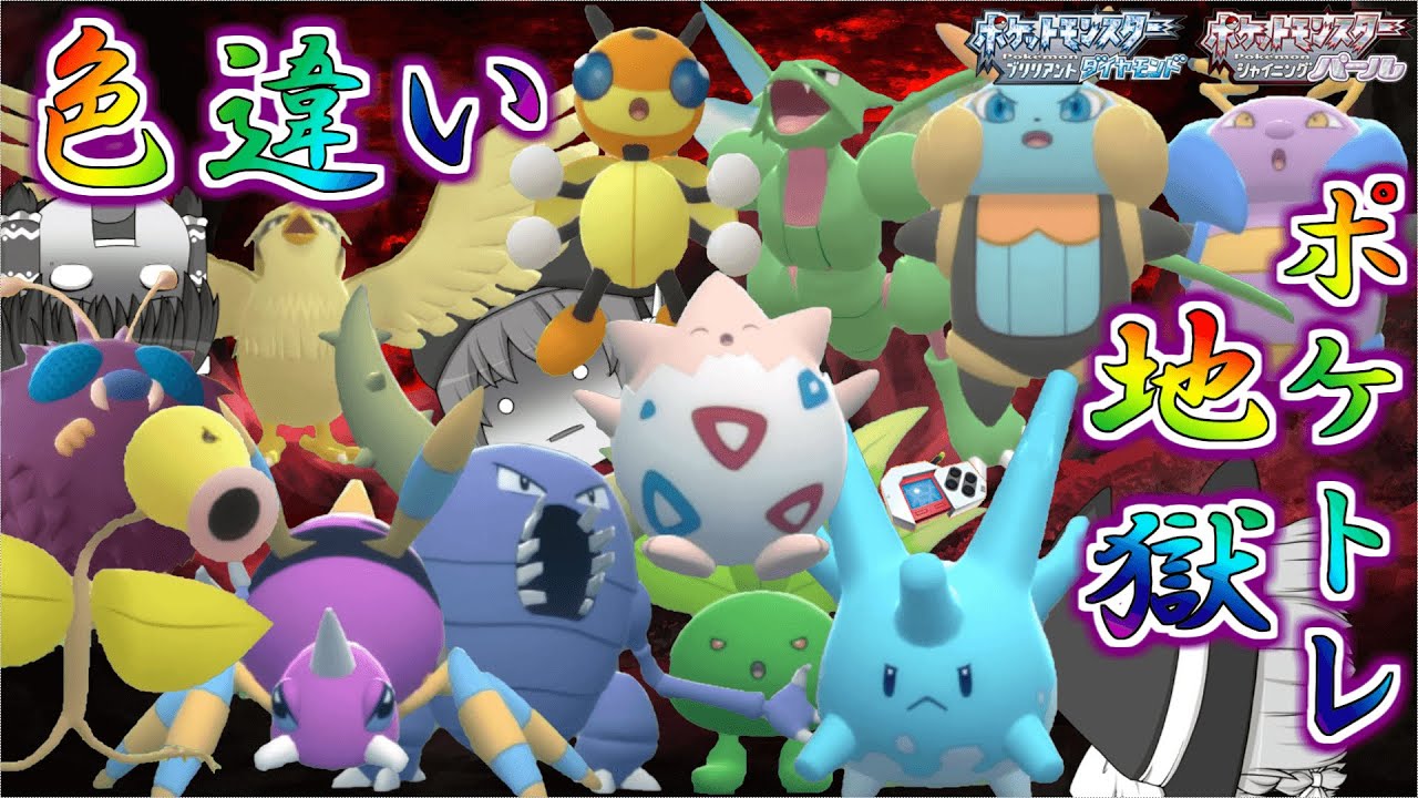 【ポケモンBDSP】ポッポとサニーゴが大量発生したから色違い欲しい…じゃあついでに229番道路と230番水道の色違いポケトレで全部ゲットしちゃお♡【ゆっくり実況】