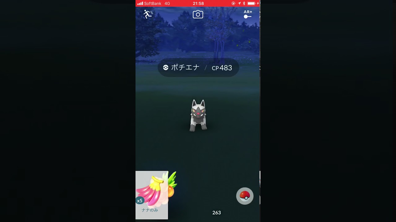 【2018/2/19】ポケモンGO 個体値100ポチエナ初ゲット