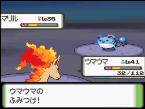 踏まれるマリル