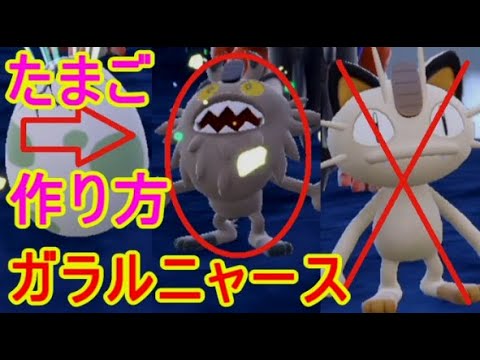 ポケモンSVガラルニャース生まれない卵の作り方ニャイキング【バイオレットスカーレット】