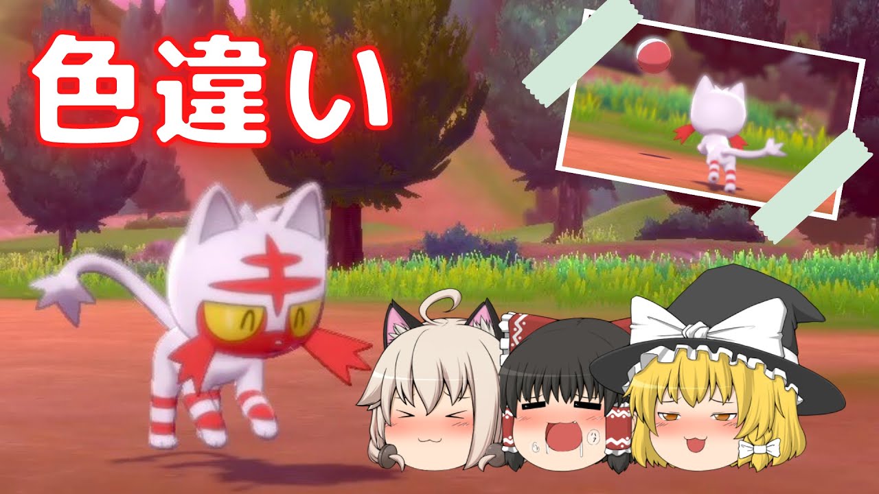 【ポケモン剣盾】ニャビー色違い厳選