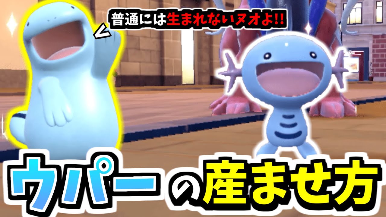 原種のウパーを卵厳選する方法!!【ポケモンSV】