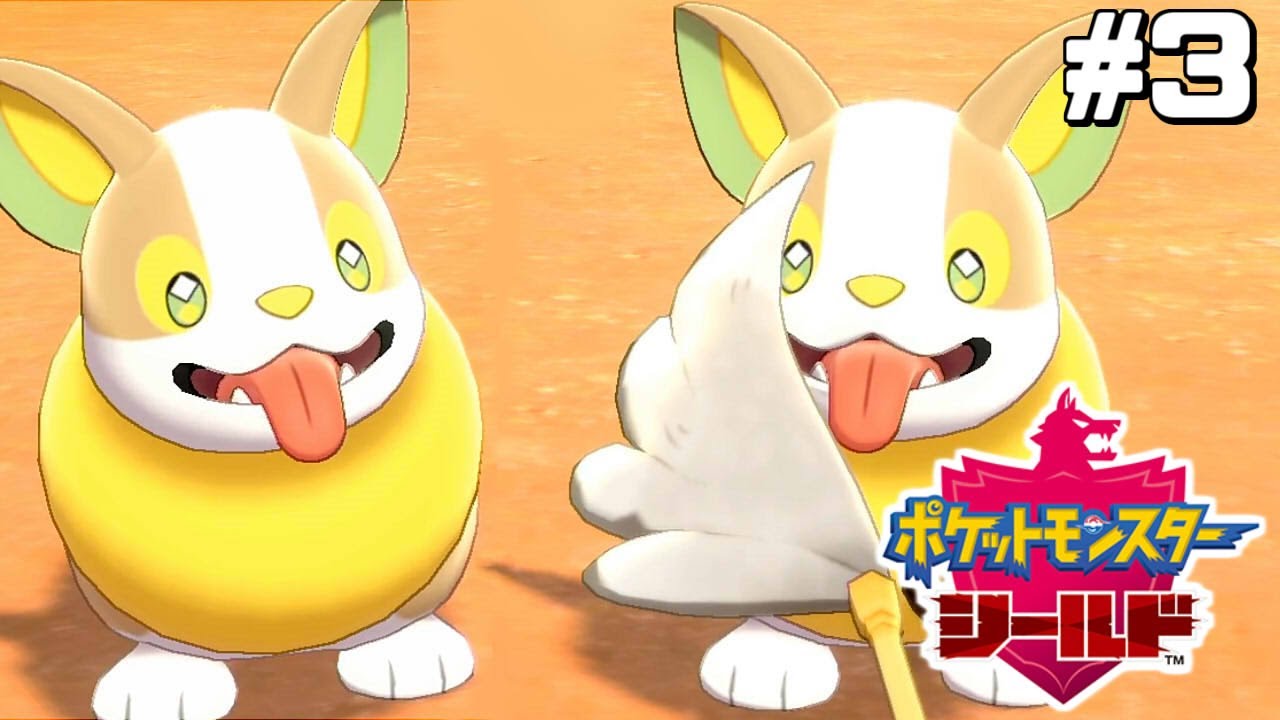 ここが楽園か…【はじめてのポケモン剣盾】#3