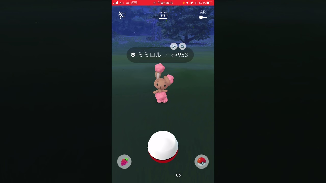 ミミロル色違い来たー！ ソフトバンク行くか迷うー ww  #ポケモンgo #色違い ＃ミミロル ＃ダイパイベント
