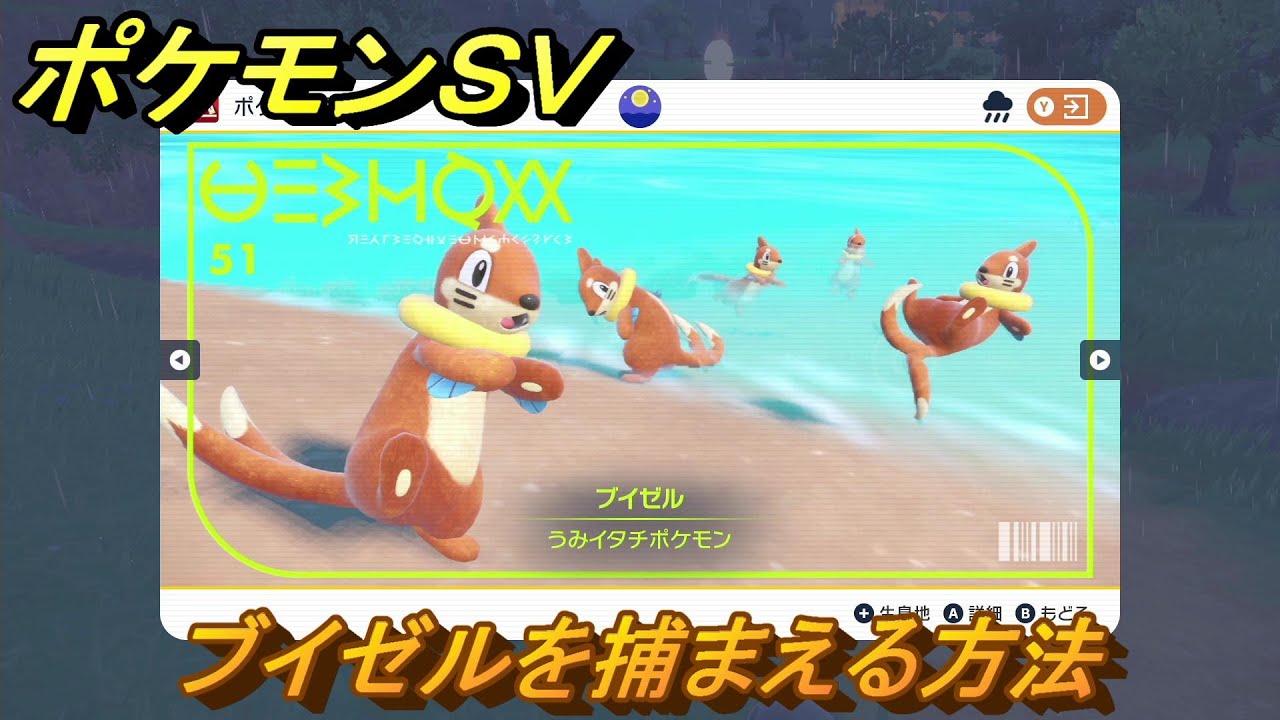 ポケモンＳＶ　ブイゼルを捕まえる方法！出現場所は？図鑑No.５１　ポケモン図鑑を埋めよう！　【スカーレット・バイオレット】