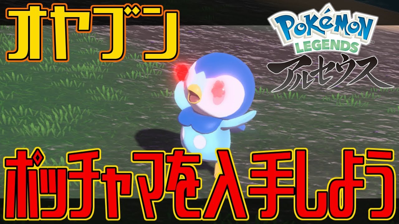 【ポケモンアルセウス】オヤブンのポッチャマを入手しよう【Pokémon LEGENDS アルセウス】