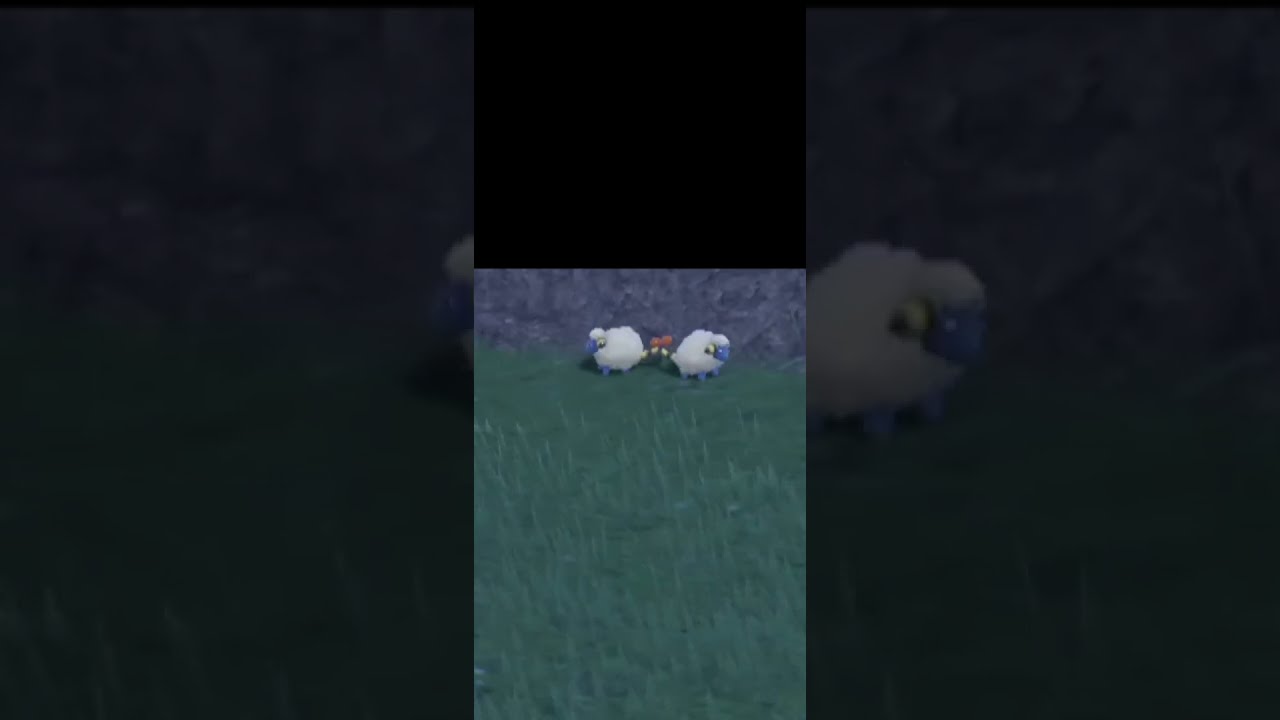 【SVストーリー日記】仲良しメリープのお尻を愛でるだけのショート🌿　#Shorts