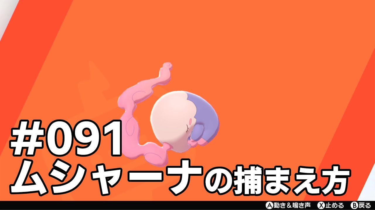 ムシャーナを探している方に見てほしい動画