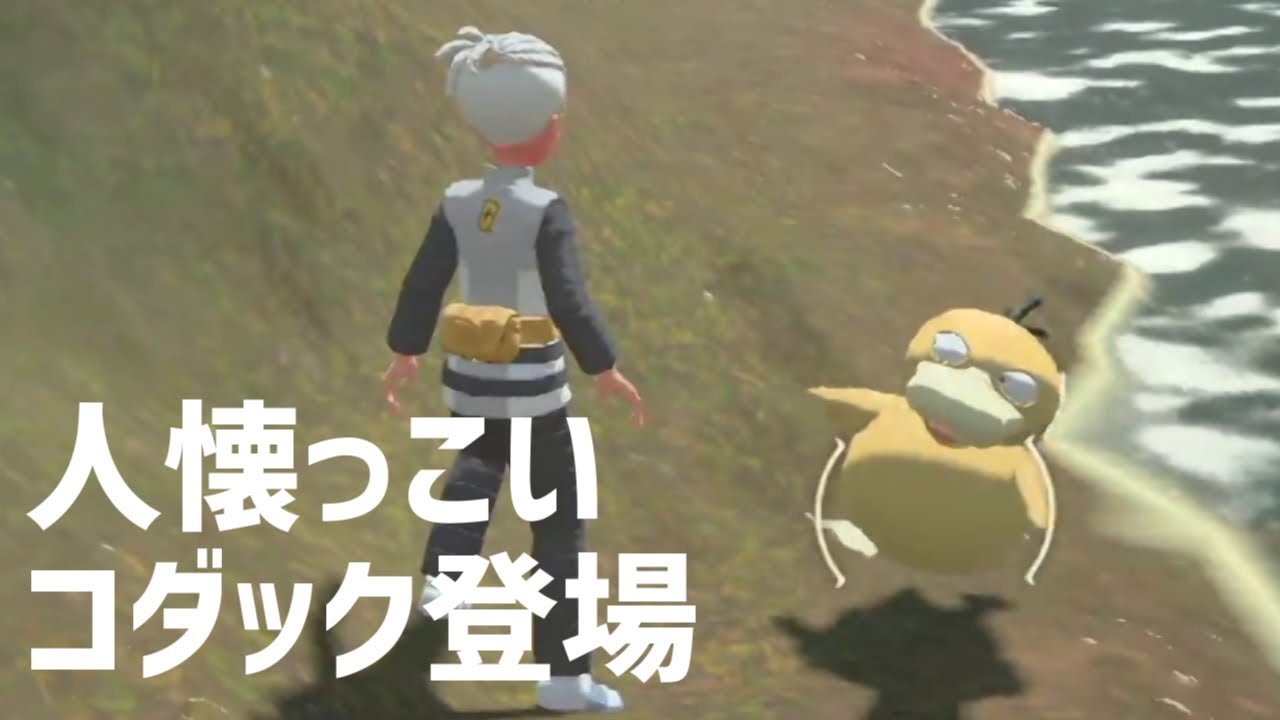 人懐っこいコダックがいた【ポケモンレジェンズ切り抜き】