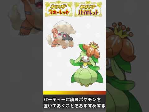 ポケモンSVにおいて強そうな晴パ コータスドレディア解説【ポケモンSV】#shorts