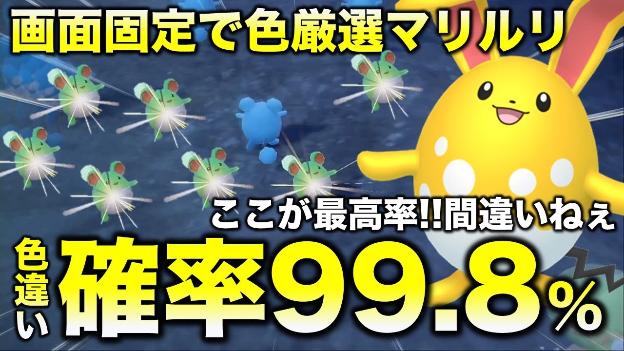 【これ最強!!色違い厳選】マリルリ・マリル編!!画面固定でいけます【ポケモンSV/スカーレット・バイオレット】