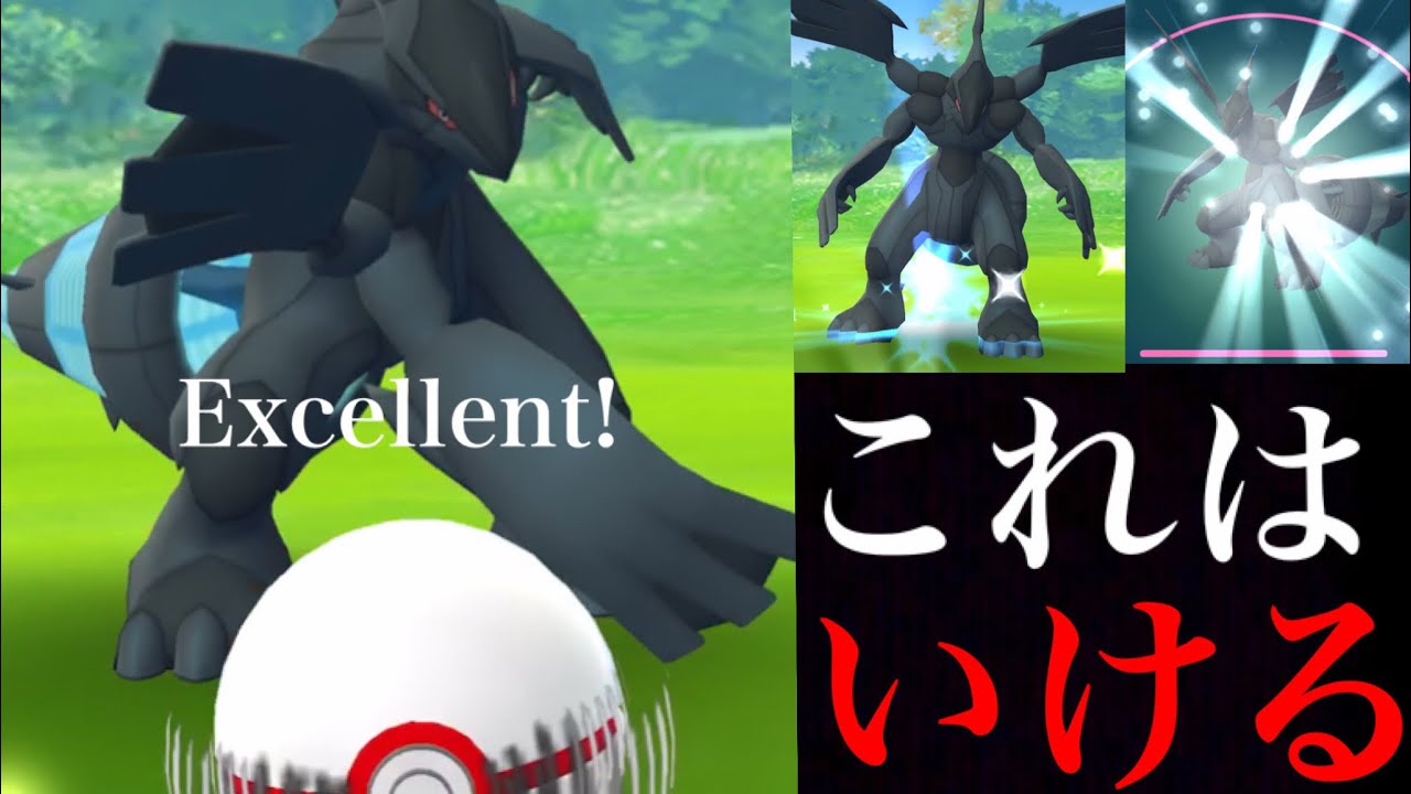 【ポケモンGO 生実況】ついにゼクロム降臨！ゲットチャレンジのコツは！？さっそく強化してワイボ型ゼクロムの強さをハイパーリーグで威力検証！【Pokemon GO】