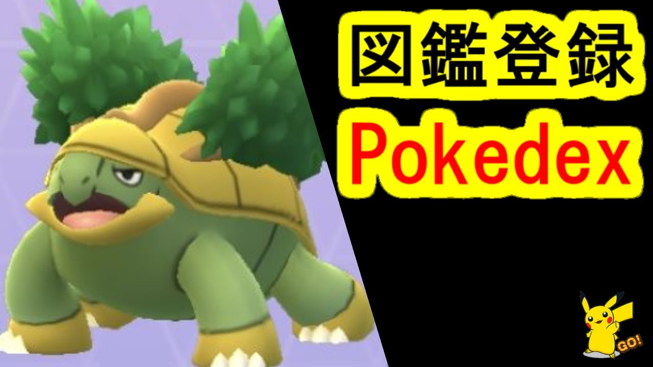 ハヤシガメをエクセレント捕獲で図鑑登録