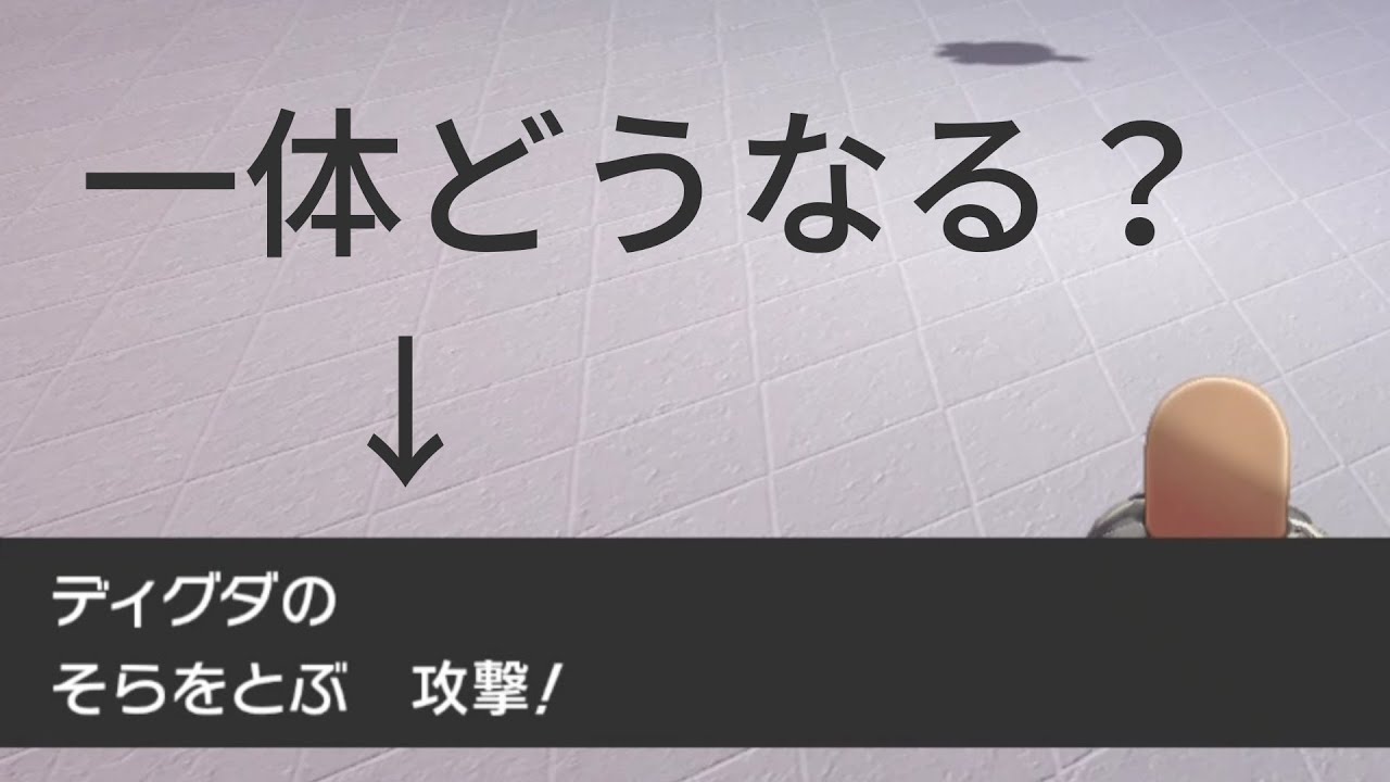 ディグダのそらをとぶ！手足は見られるのか？