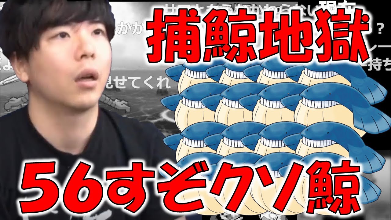 【ORAS】ホエルオー捕獲に頭がおかしくなるもこう【2022/11/12】