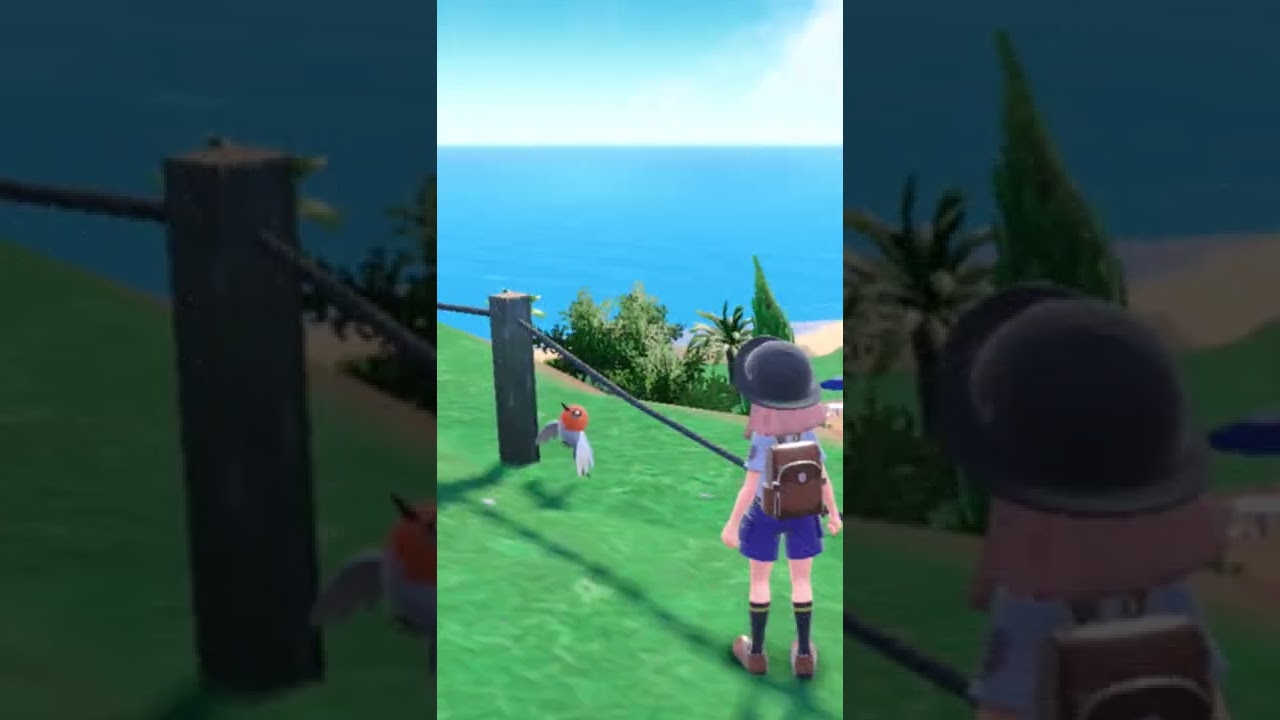 【ポケモンSV】柵を抜けられずフシギがるヤヤコマ