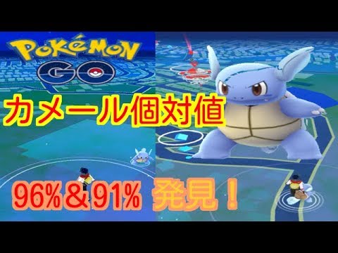 【ポケモンGO】個対値のカメール二匹発見！【PokemonGO】