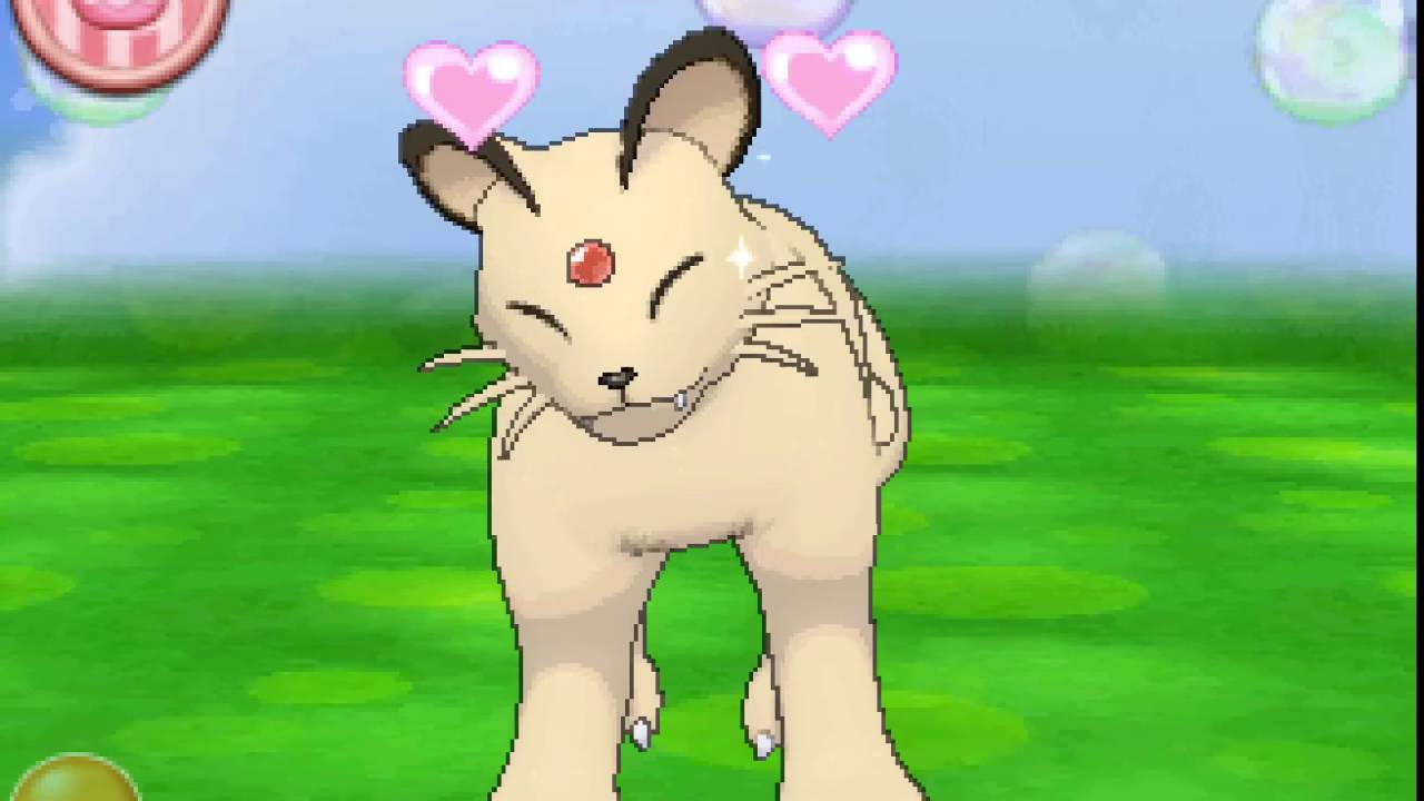 ポケパルレ　ペルシアンと戯れるだけの動画