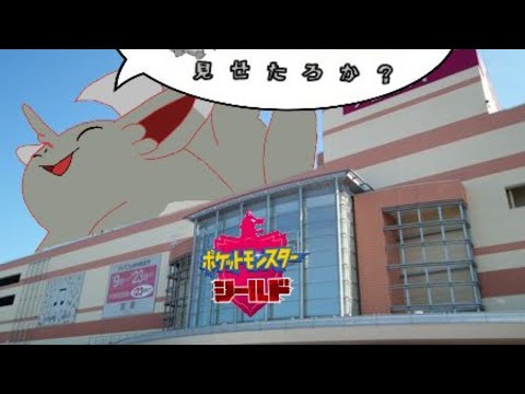 ポケモンシールド　チラーミィメインで殿堂入り目指します☆ #6.5