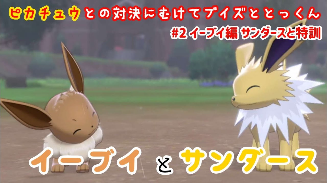 イーブイとサンダース♪ イーブイ サンダース ピカチュウ 【ピカVSブイ】